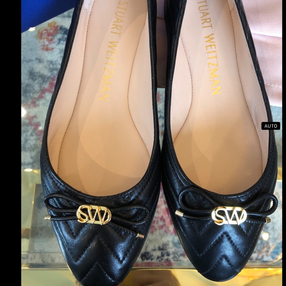 Stewart Weitzman flat- NEVER WORN!!